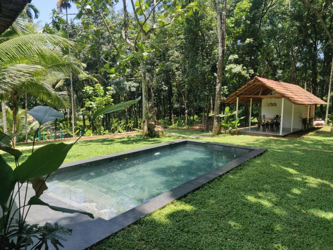 Pool Villa - The Humming Trees, Pala Lālam Dış mekan fotoğraf